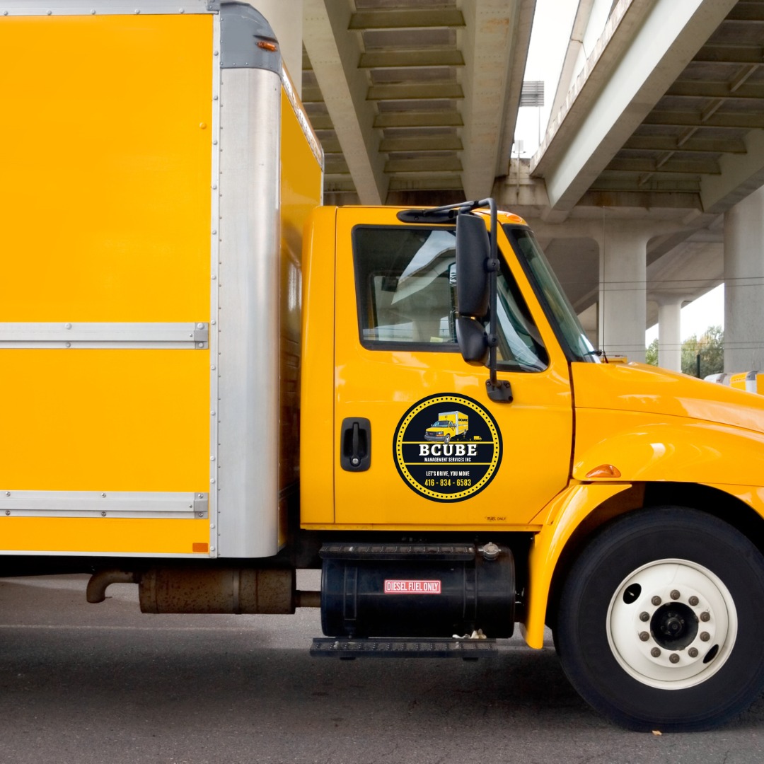 whatsapp image 2026 03 03 at 2.48.10 pm (4)